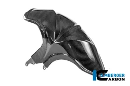 Kotflügel hinten Carbon glänzend BMW R 1300 R