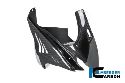 Seitenverkleidung rechts Carbon glanz M 1000 RR Straße (ab 2025)