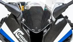 Armaturenabdeckung BMW M/S 1000 RR 2021