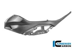 Seitendeckel links am Tank für original Seitendeckeleinsatz BMW S 1000 RR ab Bj 2019