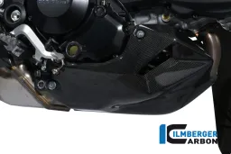 Motorspoiler Carbon