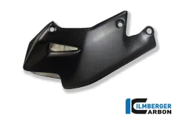 Motorspoiler Carbon