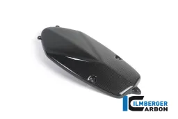 Lichtmaschinendeckel Carbon