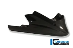 Motorspoiler lang Carbon