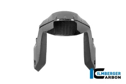 Kotflügel vorne Carbon glänzend BMW R 1300 R