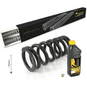 Tieferlegung um -25mm für BMW R12 G/S (2025-), Austauschfedern